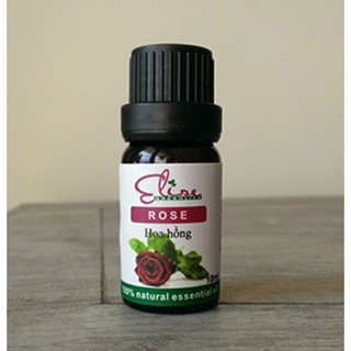 𝗧𝗶𝗻𝗵 𝗱𝗮̂̀𝘂 𝗵𝗼𝗮 𝗵𝗼̂̀𝗻𝗴 - rose essential oil