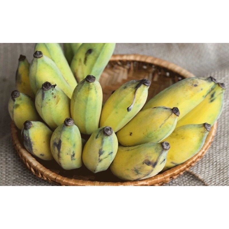 Chuối xiêm  hàng nhà trồng - Chỉ giao hỏa tốc
