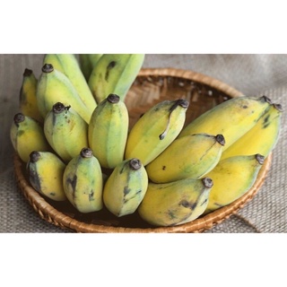 Chuối xiêm (xứ) hàng nhà trồng - Chỉ giao hỏa tốc