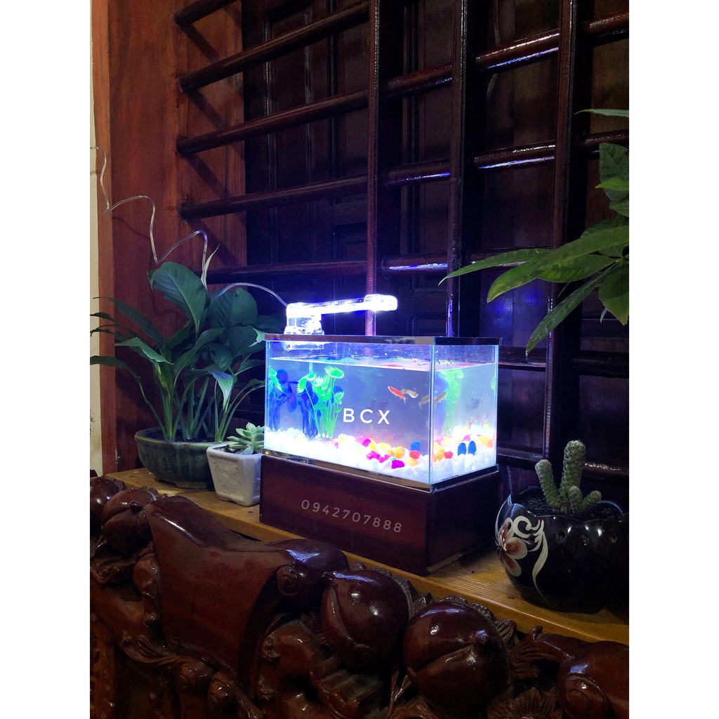 Bể cá mini 25cm- 30cm + đèn led ( tặng phụ kiện)