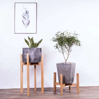 đôn gỗ thông kê chậu cây cảnh