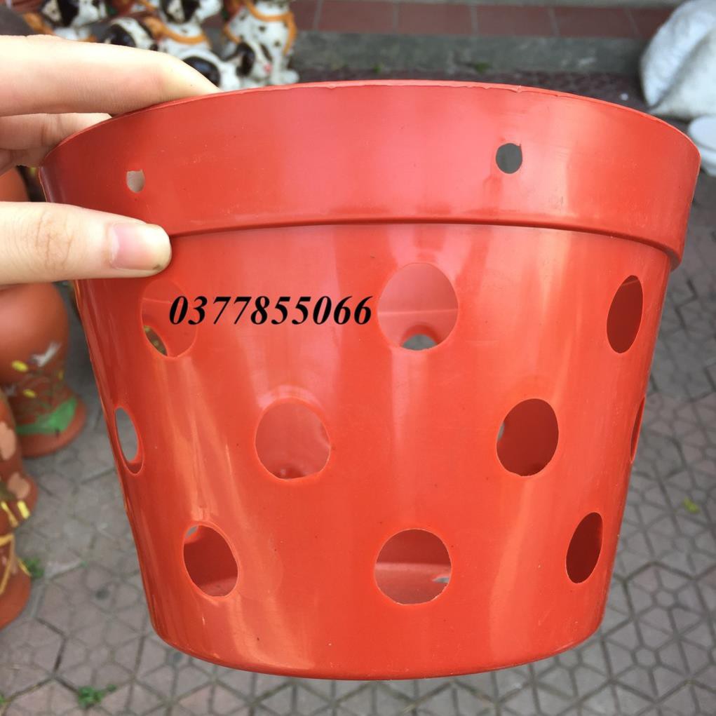 Chậu nhựa, giỏ treo chuyên dụng trồng lan giả gốm đất nung giá rẻ đa dang kích thước từ 17-20-22cm