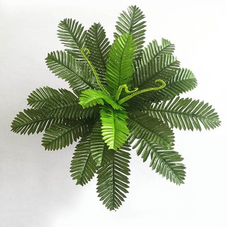 Cây Dương Xỉ trang trí tường cỏ