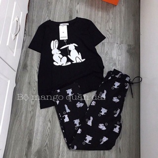 Bộ mặc nhà chất cotton siêu kute