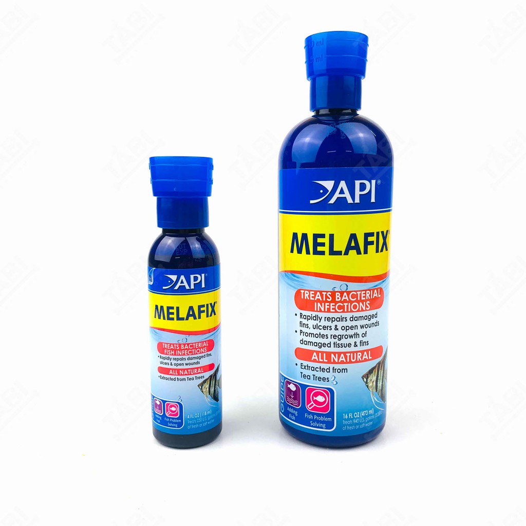 Dung Dịch Kháng Khuẩn API MELAFIX Chính Hãng - Hỗ Trợ Nuôi Cá Tốt [MELAFIX]