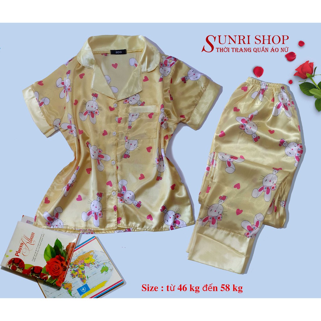 Đồ Bộ Mặc Nhà Nữ - Pijama Dài Chất Phi Bóng Sunri Shop Size 46 - 65 Kg