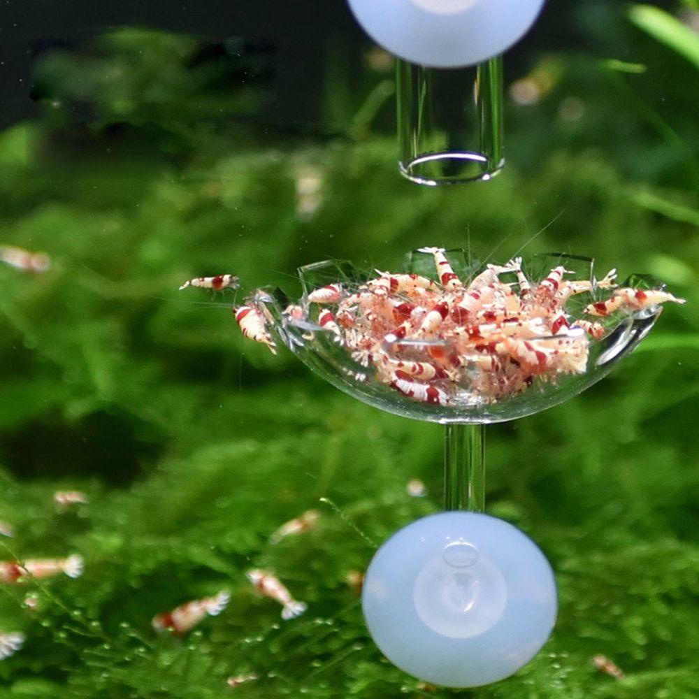 AARON1 Khay Đựng Thức Ăn Bằng Acrylic Không Độc Hại Kèm Cốc Hút Tiện Dụng Cho Bể Cá