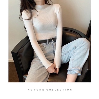 Áo len tăm cổ cao 3 phân