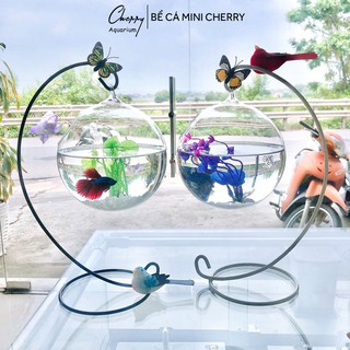 [Tặng kèm phụ kiện ] combo 2 bể cá mini 33