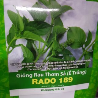 Hạt giống rau é trắng (Hoary Basil Seeds)