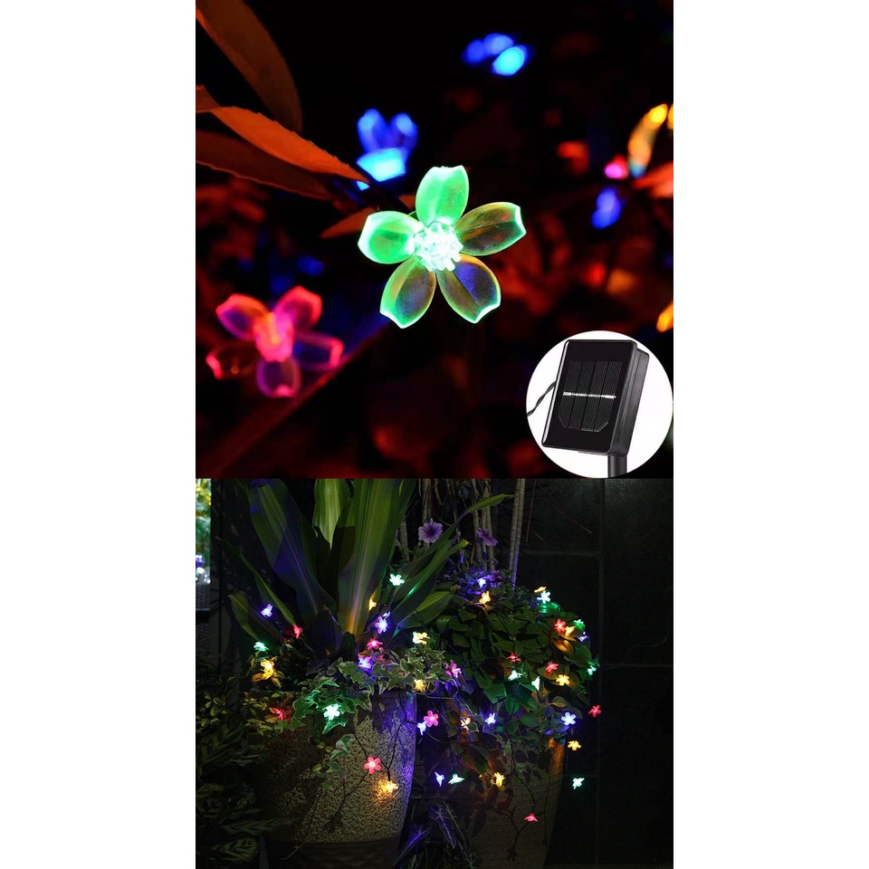 Đèn LED dây năng lượng mặt trời hình hoa mai 5M 50LED