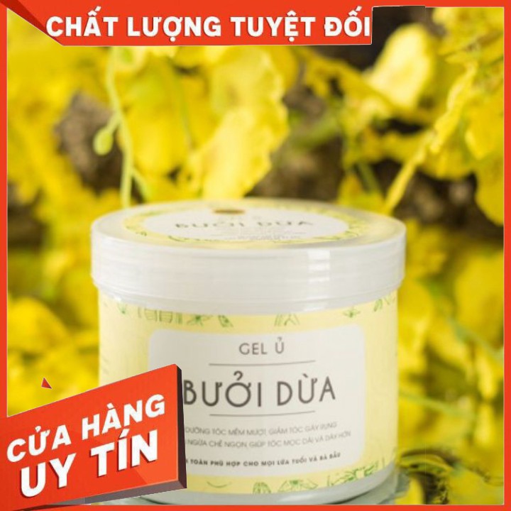 GEL Ủ BƯỞI DỪA ARGAN - Gel Ủ Bưởi Dừa Nga Hoàng-GEL Ủ XẢ BƯỞI DỪA ARGAN CHÍNH HÃNG CỦA NGA HOÀNG | BigBuy360 - bigbuy360.vn