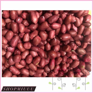 Đậu phộng đỏ/ Lạc đỏ-500g
