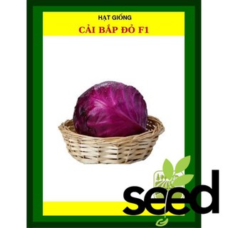 1G - Hạt Giống Cải Bắp Đỏ