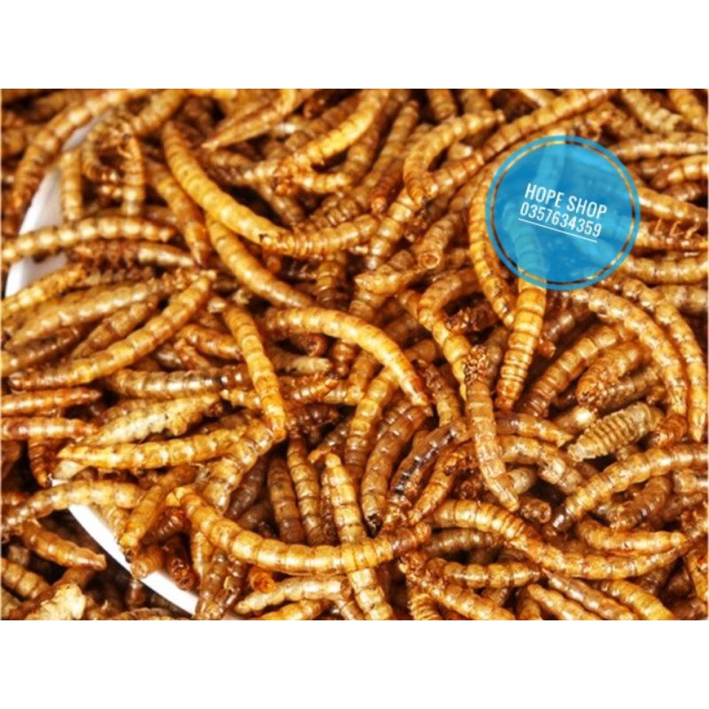 500g Sâu gạo sấy khô cho Hamster, Chim, Bọ....