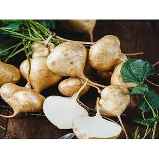 400 hạt giống củ đậu lùn