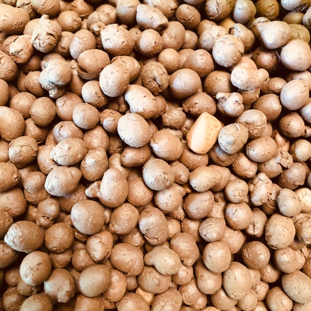 200gr Hạt đất nung (rải mặt-trồng lan)
