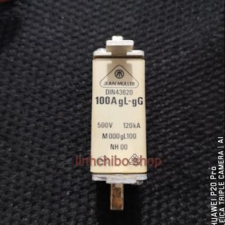 Ruột cầu chì sứ 100A