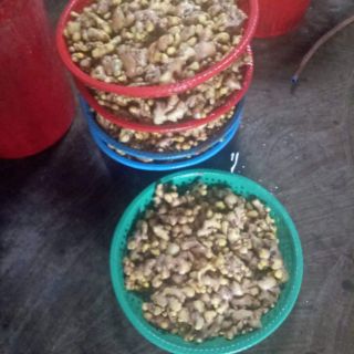 BỘT GỪNG GIẢM MỠ BỤNG,TRỊ RỤNG TÓC VÀ GÀU