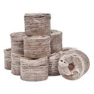 Combo Hạt giống dâu tay và 10 viên nén xơ dừa ươm cây nhập khẩu-  chuyên dụng.