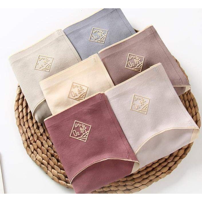 Quần lót nữ không đường may MIDORI đúc su thun lạnh cao cấp mềm mại kháng khuẩn CTKK01 | BigBuy360 - bigbuy360.vn