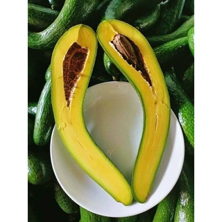 Bơ 034 Lâm Đồng(size 3 quả 1 ký)