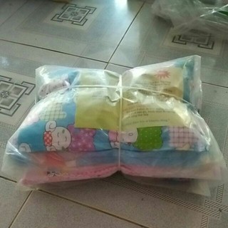 Combo sỉ 10 gối đinh lăng size 1