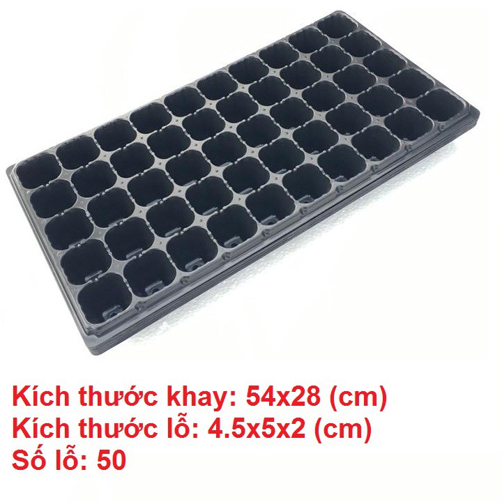 Combo 5 khay ươm hạt 50 lỗ, hàng loại 1 chất lượng cao