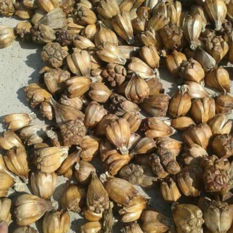 Dứa rừng khô 1kg thơm, ngon, sach