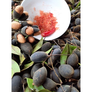 TRÁI XAY, SAY  [ 500GR], CHÍN CÂY TỰ NHIÊN 100%