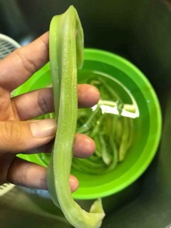 Rau tiến vua