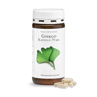 Bổ não Gingko