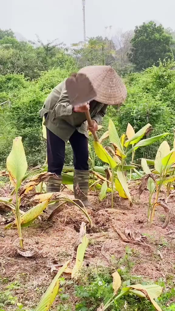 Xà Bông Nghệ Mật Ong - Xà Phòng Thảo Dược Sáng Da, Ngừa Thâm (100gr) | BigBuy360 - bigbuy360.vn