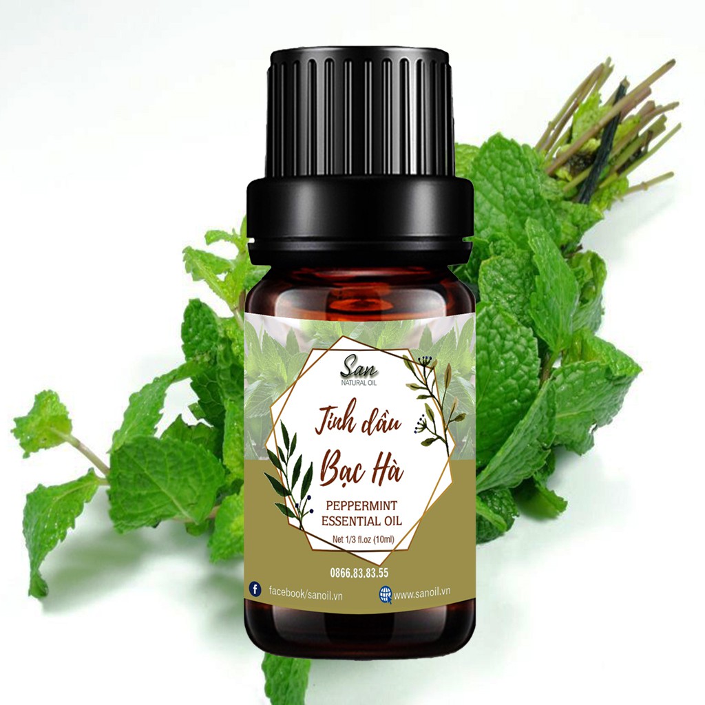 TINH DẦU BẠC HÀ 10ML 20 ML 50ML 100ML