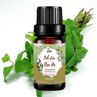 TINH DẦU BẠC HÀ 10ML 20 ML 50ML 100ML