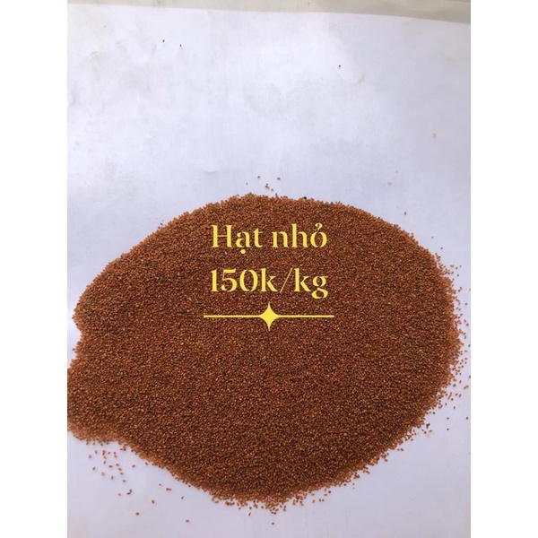 Hạt ngũ hoa ( Hạt nhỏ sạch 100%) 100gr