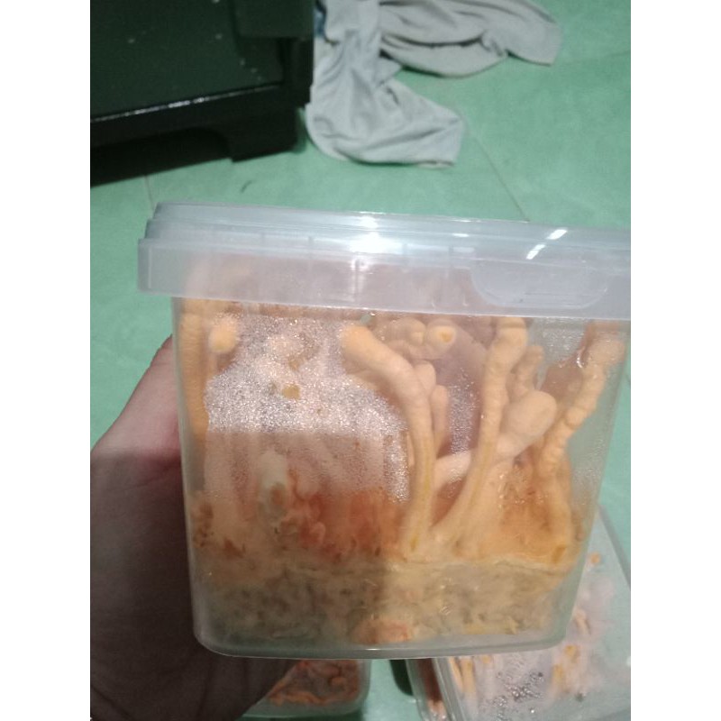 Đông trùng hạ thảo 200gr