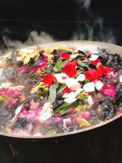 Dầu gội organic plus Leo House