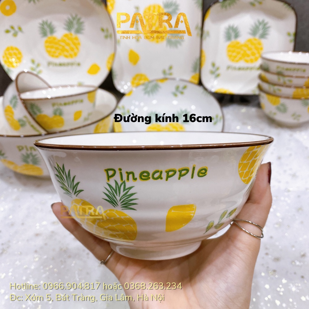 Bộ bát đĩa sứ cao cấp, bộ chén dĩa decor đẹp họa tiết dứa viền nâu siêu xinh
