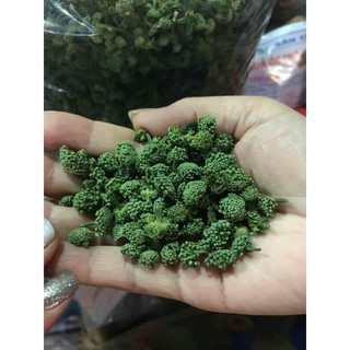 Sỉ lẻ nụ tam thất bao tử 100g - 200g - 300g