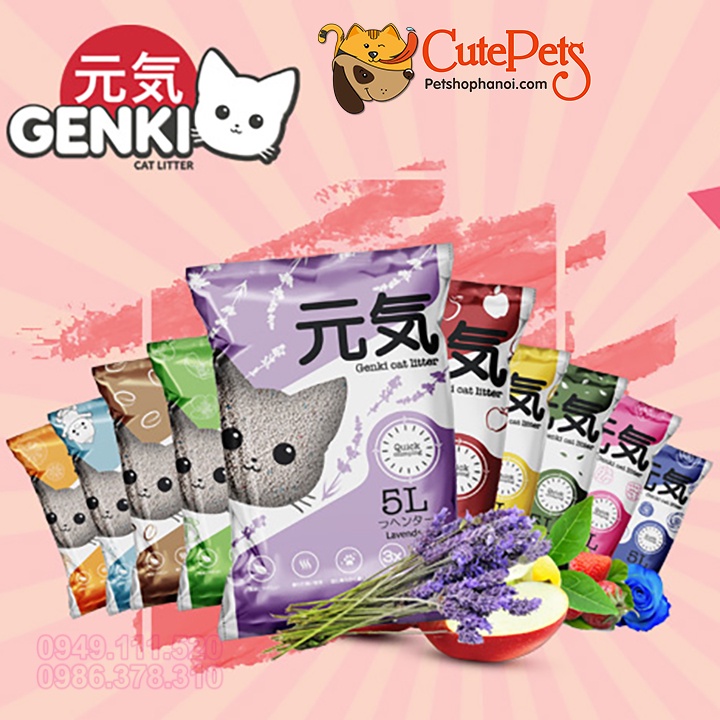 Cát vệ sinh cho mèo, Cát GENKI 5L nhật bản khử mùi tốt - Phụ kiện thú cưng Hà Nội