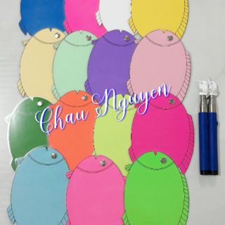 Bộ câu cá nam châm