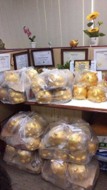 Lợn vàng_lợn tiết kiệm | BigBuy360 - bigbuy360.vn