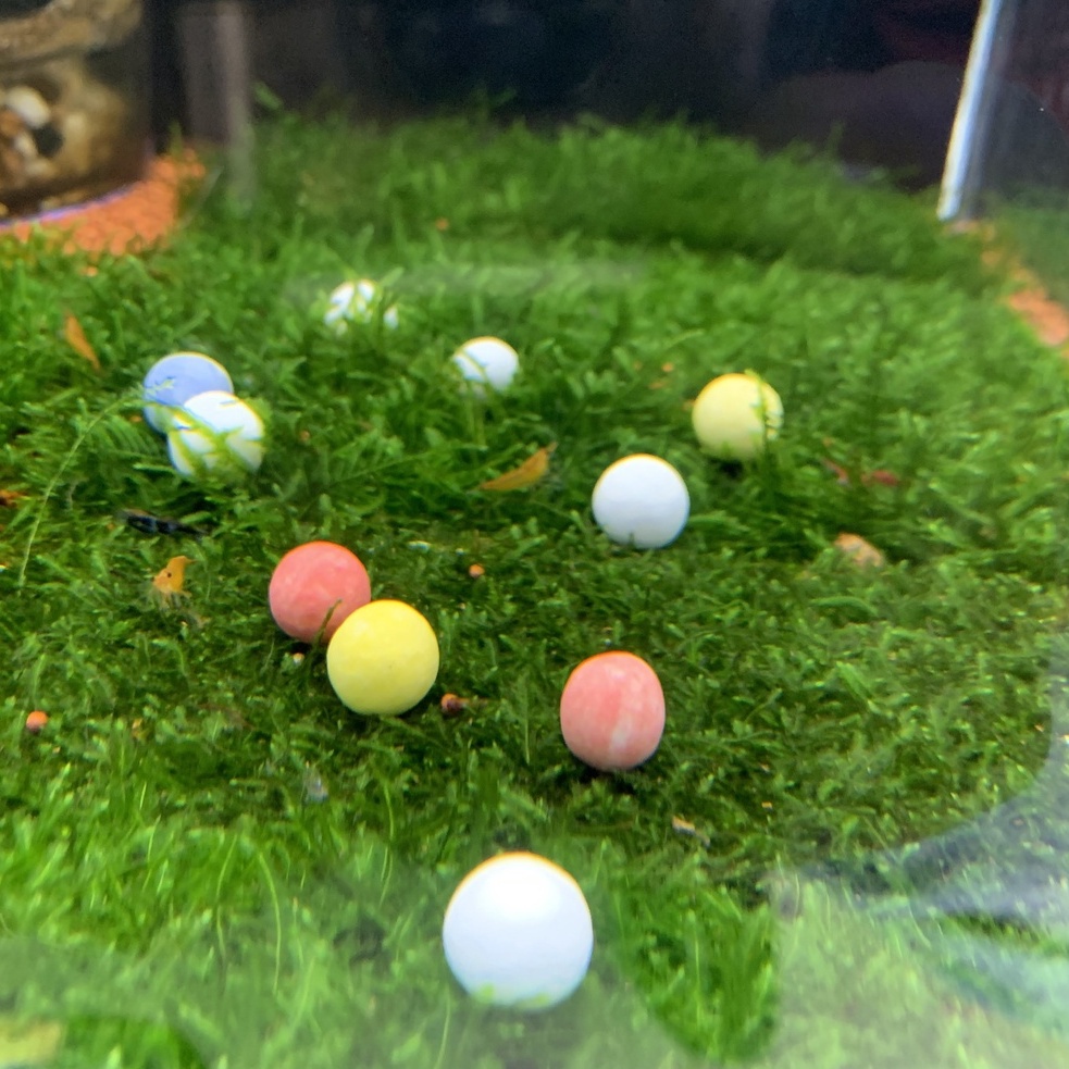 20 Viên Khoáng BeeBall Dành Cho Cá Tép Cảnh - Vật Liệu Lọc Cho Cá Tép