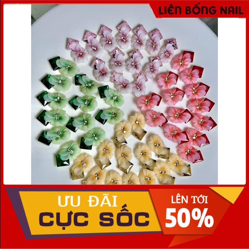 Hoa thược dược ôm đá