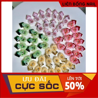 Hoa thược dược ôm đá