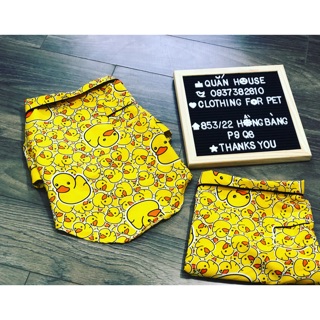 Pijama vịt Vàng