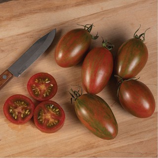 Hạt giống cà chua trái cây Bronze chịu nhiệt trồng được mùa hè thumbnail