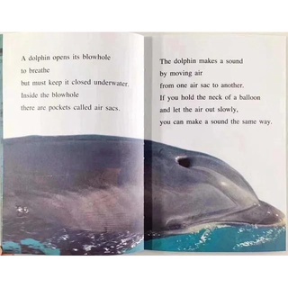 [Freeship]Bộ Nhập - I can read 1+2 (Full 14c)