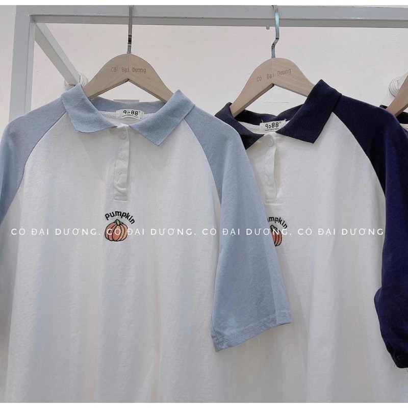 [Rẻ vô địch] Áo cotton tay lỡ unisex -Áo polo cổ đức, Áo cổ bẻ phối tay thêu quả bí.